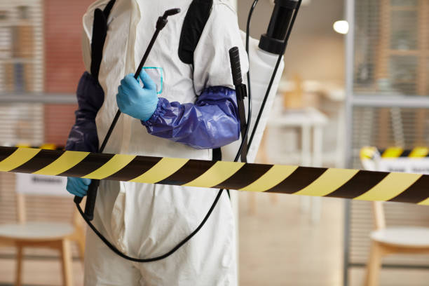 Professional Sewage Cleanup technician working in Central City, NE